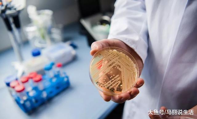 不嚇您!超等实菌去了,1/3传染者30天内灭亡,今朝无药可救……
