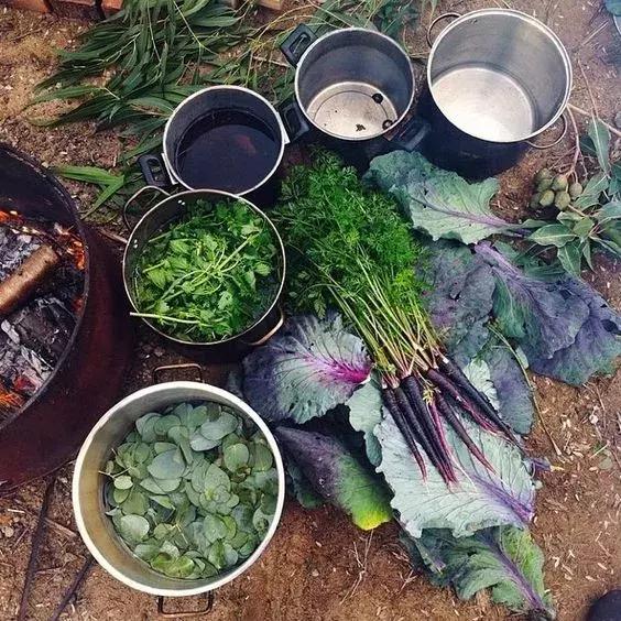 做个小小染色匠 探索植物染色的魔法 教育资讯 娱乐新闻网