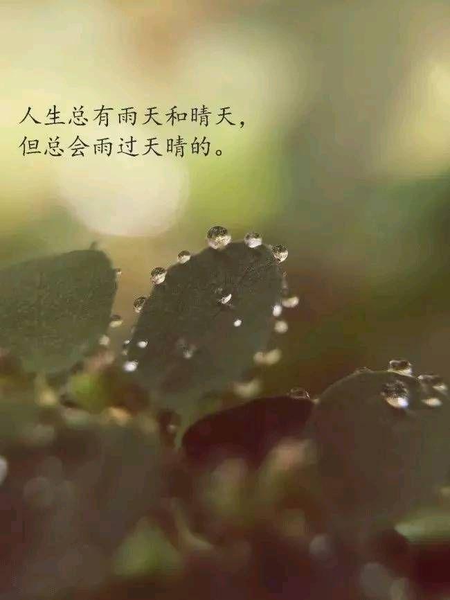 好听小清新的个性签名,经典有深意,值得分享到朋友圈