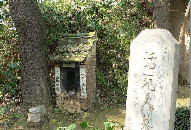 娱乐新闻