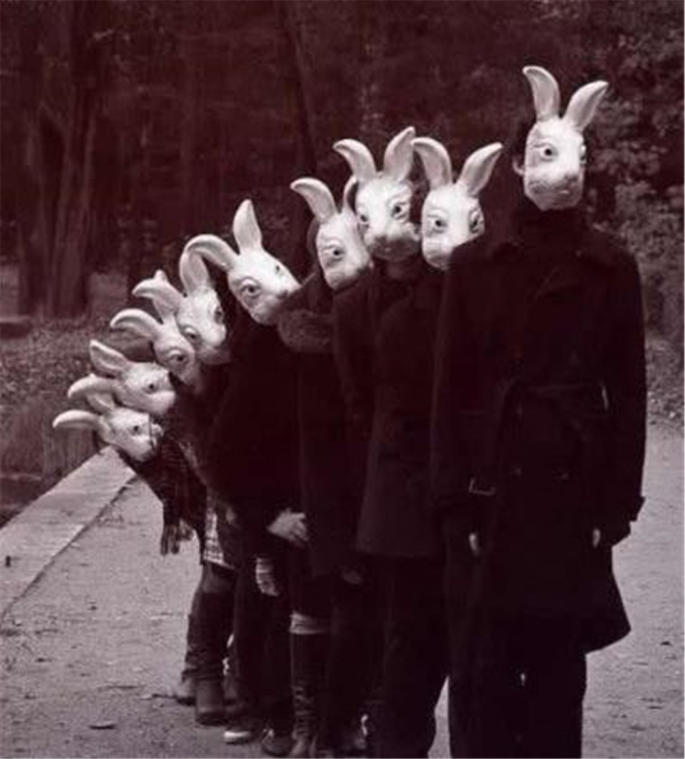 一群戴着兔子面具的人,明明应该是一张欢乐的朋友合影,怎么看上去那么
