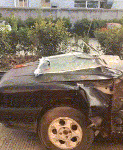 搞笑gif:大嘴吞拳头,真是好厉害的妹子 – 低调的小屋