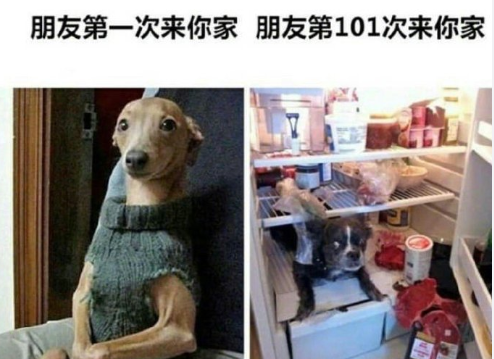 朋友第一次来你家，和第N次来你