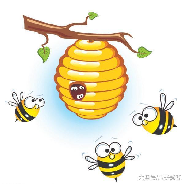 婴儿不能吃蜂蜜,以免肉毒杆菌中毒!