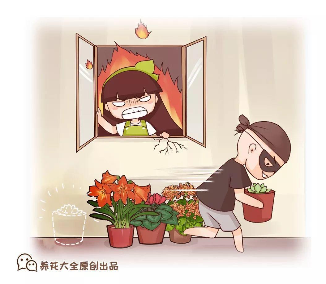 “伸手党”和“偷花贼”, 恨的牙痒痒, 看来只能出大招了!