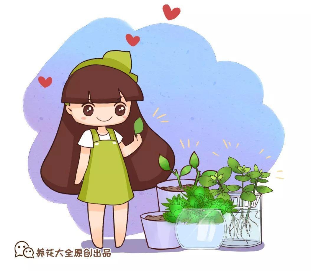 这5种花别再买, 撸片叶子扔盆里, 遇土就生根!