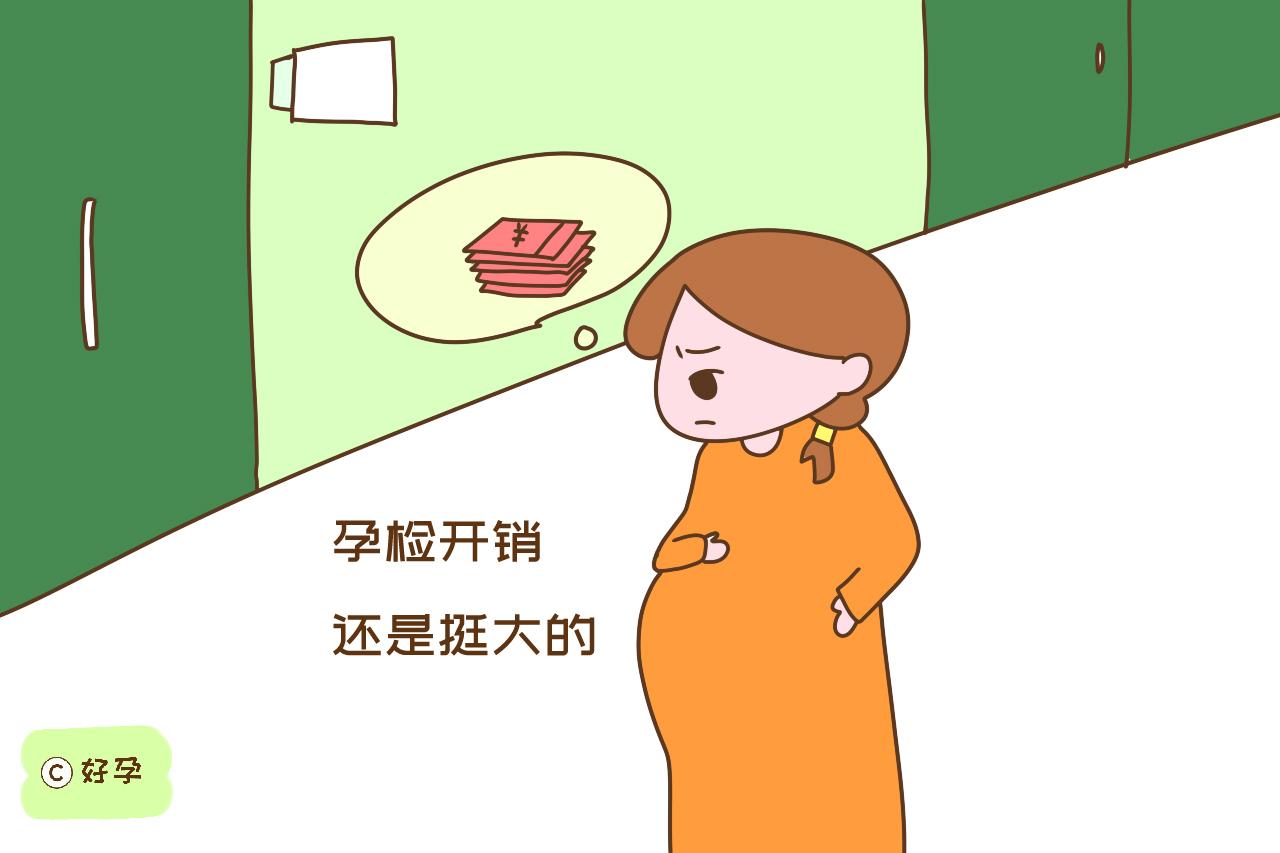 生育新政策下，哪些孕检是免费的？了解清楚生娃又省一笔开销