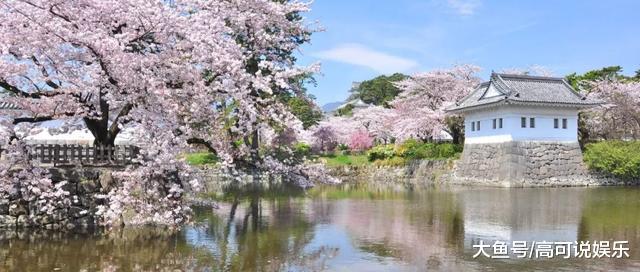 日本东京十巨细寡赏樱胜天:避开人潮拥挤的恐惧,感触感染醒好春意!