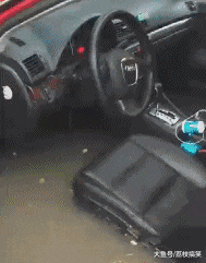 搞笑gif:家里有一幅唐伯虎的画,看看是不是唐伯虎真迹