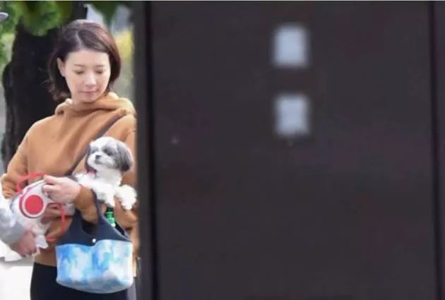 坂本昌行与女演员恋情曝光 又一个杰尼斯艺人好事将近 娱乐资讯 英雄联盟lol