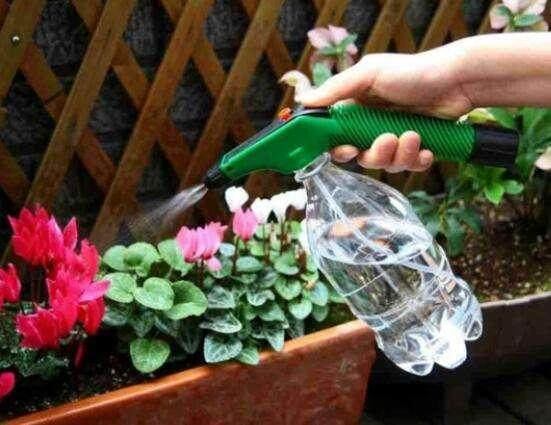 用这“3种”水来浇花, 就相当于“施肥”了, 枝条蹿几米高!