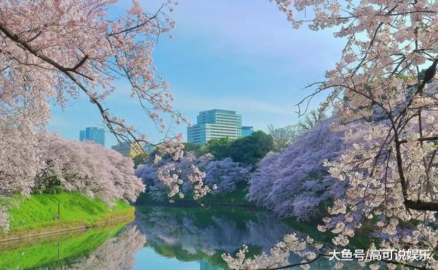 日本东京十巨细寡赏樱胜天:避开人潮拥挤的恐惧,感触感染醒好春意!