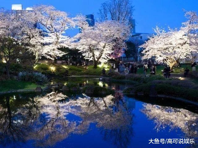 日本东京十巨细寡赏樱胜天:避开人潮拥挤的恐惧,感触感染醒好春意!