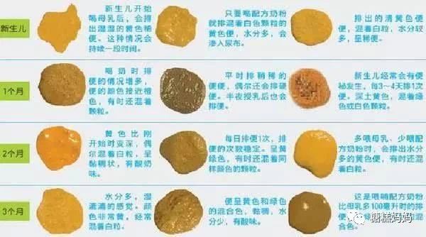婴儿大便常识图解，警惕便便发出的危险信号