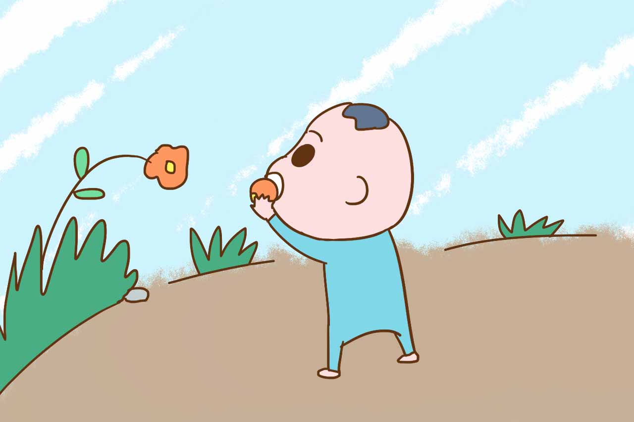 【孩子大脑发育高峰期，错过很可