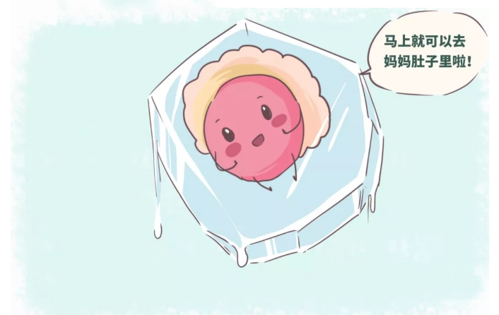 胚 移植 後 生活