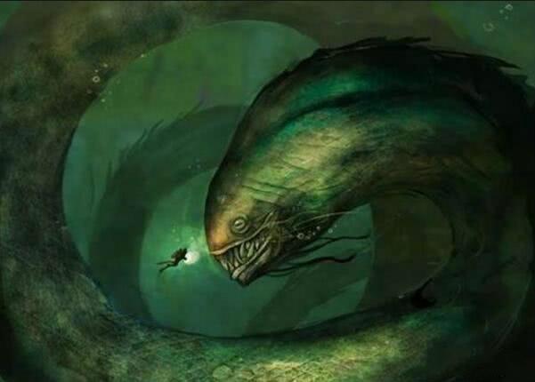 几张"深海恐惧症"测试图, 你能看完吗? 第二张越看越恐怖