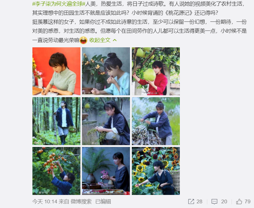 李子柒可以说是极少数视频领域不