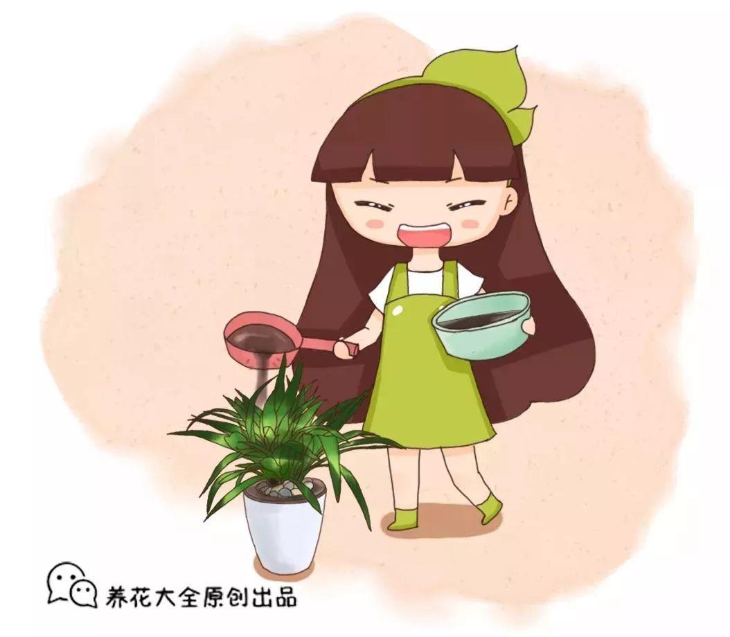 盆土硬邦邦, 撒点小料, 松软透气花呼呼长!