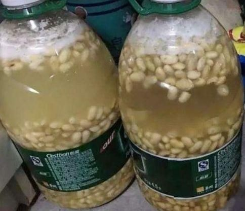 绿萝叶片发黄, 半个月喂勺“汤”, 绿叶又大又油亮!