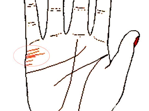 从手相看不同的婚姻结果 星座资讯 存满娱乐网