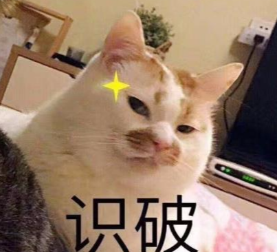 冬天猫有四种取暖方式 主人应该提防猫被火烤焦 萌宠资讯 娱乐新闻网