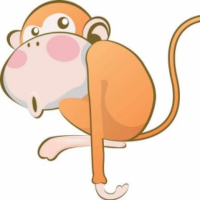 小猴解说
