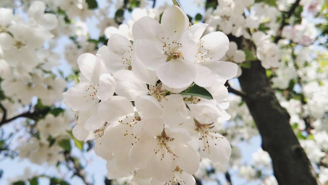 「武汉」城市景色