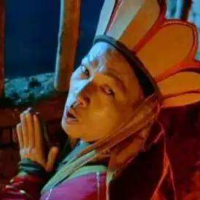 王一蛋的所见所闻