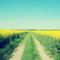 我想栓一道红线