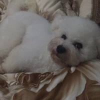 七七带你看历史