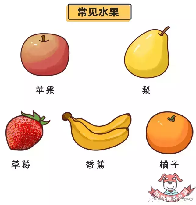 那份“浑肠”秘笈,能够用去传家