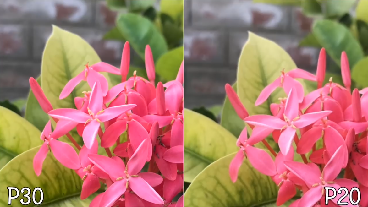 华为P30 Pro相机对比P2