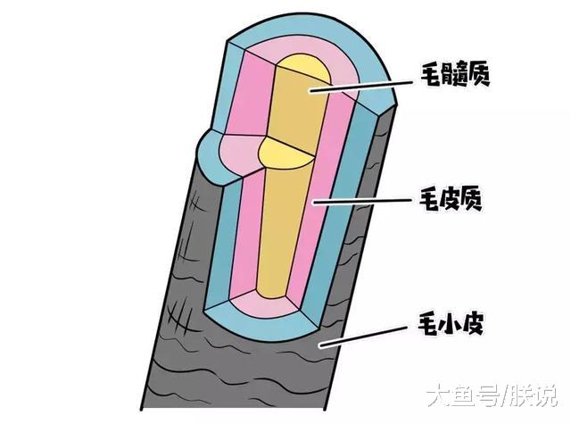娱乐新闻网