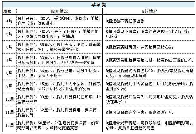孕期b超指标对照表 胎儿发育标准对照表