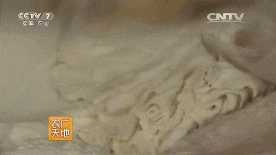 中国到底哪里的烧麦最好吃?