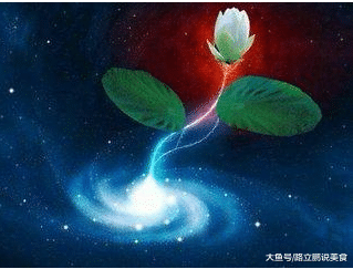 졷Զ۱ʮ󼫵
