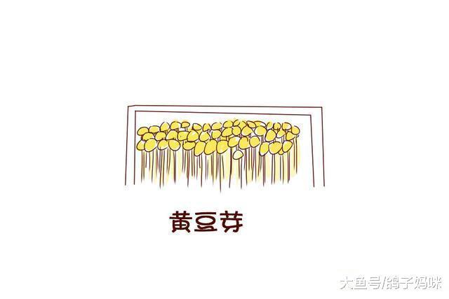 赢的秘诀，就是别输；孕期营养的秘诀，就是要蔬！
