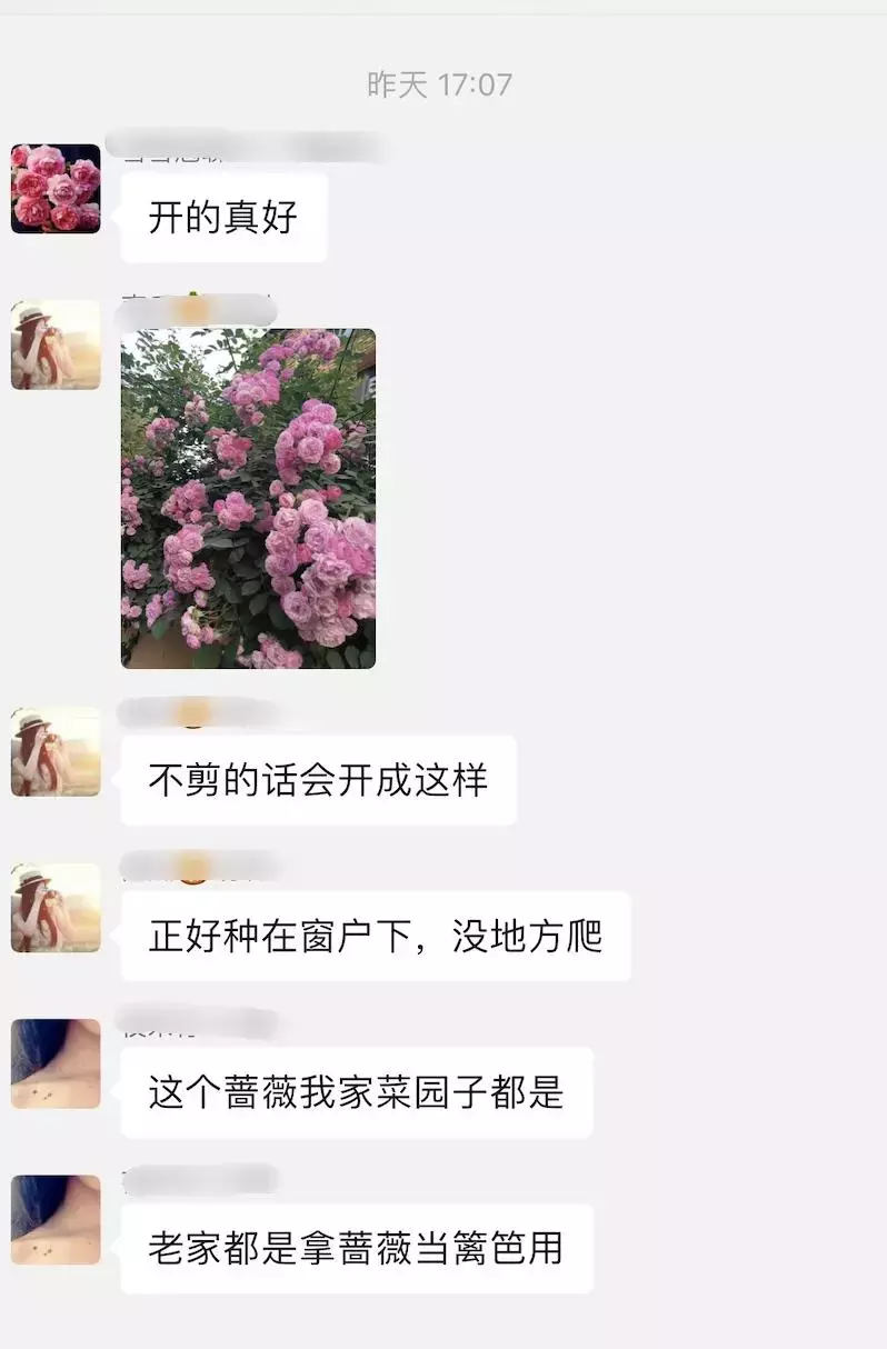 微商如何缔造代价内容, 从而影响客户的止为