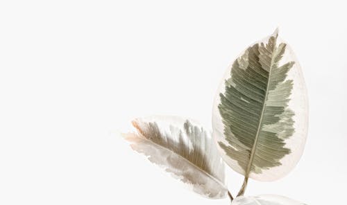 骨折线和骨痂是什么 骨折患者你真的了解吗 生活资讯 存满娱乐网