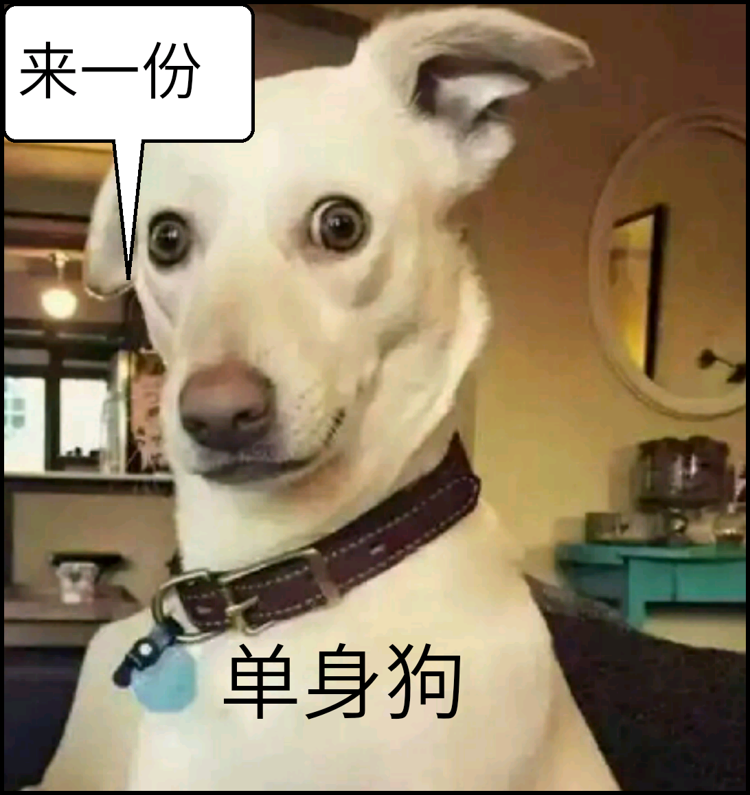 什么样的男生一看就是单身狗?男生看了女生的回答,头顶三个问号