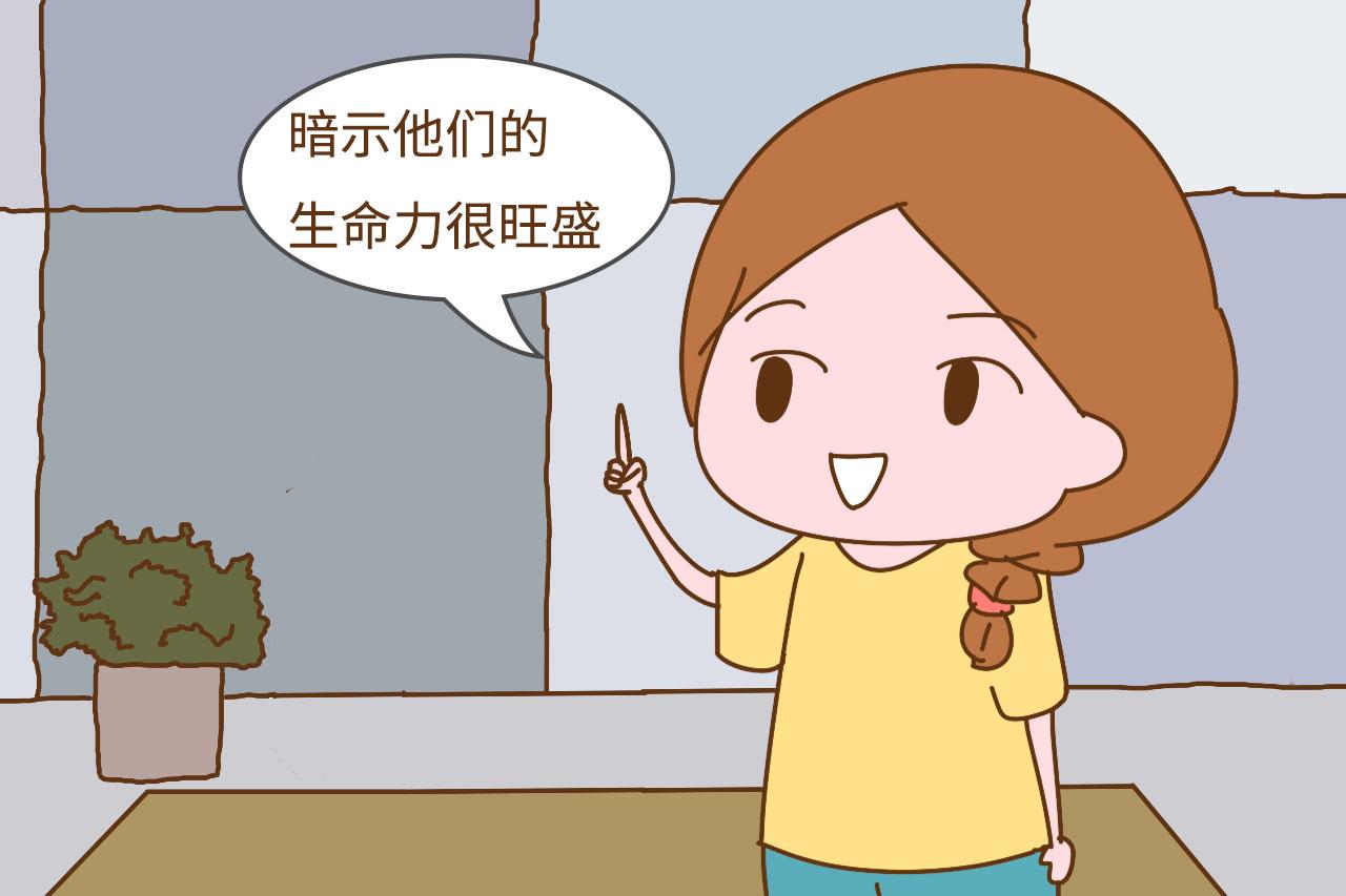 宝宝睡觉是这种睡姿, 暗示生命力旺盛, 说明宝妈很会养孩子