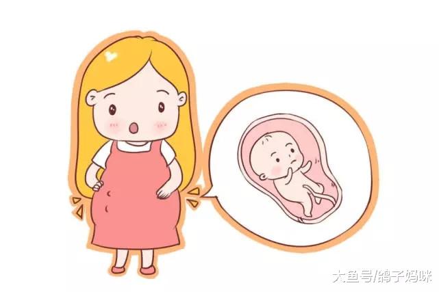 准爸妈快了解！怀孕中期这些胎儿疾病发生率最高