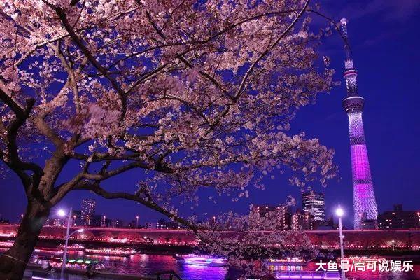 日本东京十巨细寡赏樱胜天:避开人潮拥挤的恐惧,感触感染醒好春意!