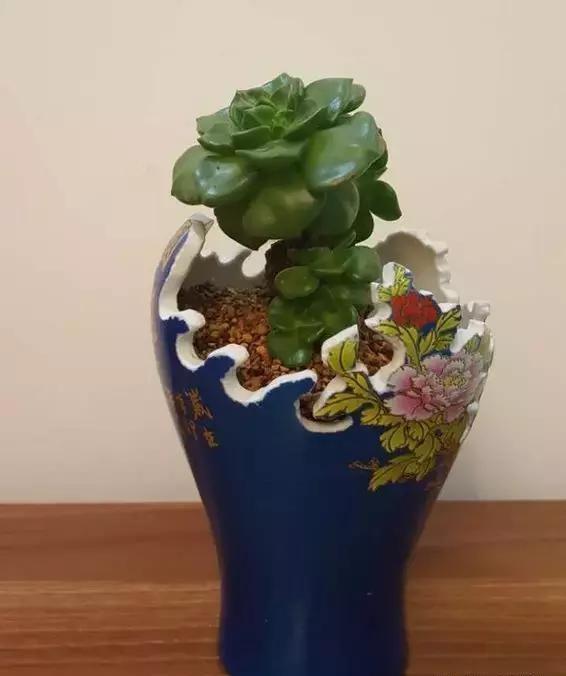 过年家里有