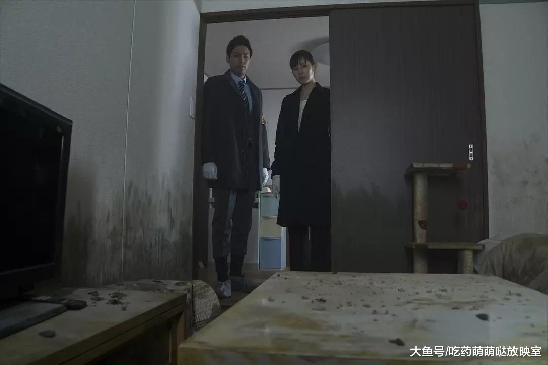 女子孤独死后 家养的十一只猫只好啃食她的尸体 被嫌弃的阳子的一生 绝叫 电影资讯 存满娱乐网