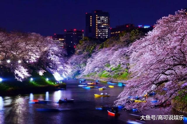 日本东京十巨细寡赏樱胜天:避开人潮拥挤的恐惧,感触感染醒好春意!