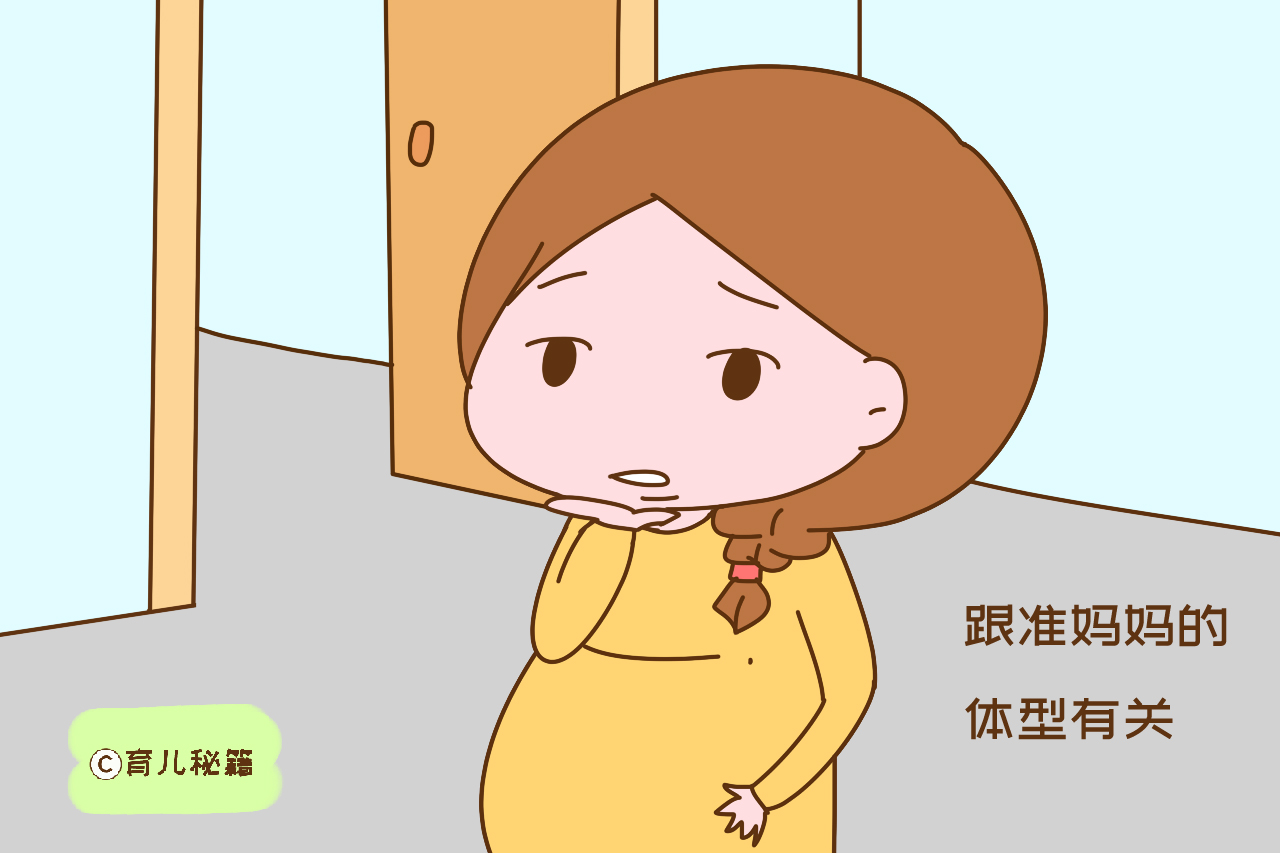 不显怀不是宝宝不健康，而是这些因素所致，准妈妈不用太担心