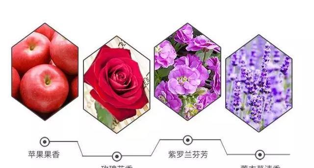 洗衣液里的“祖马龙”,洗一次香一周,走路都带香,让你秒变移动香水