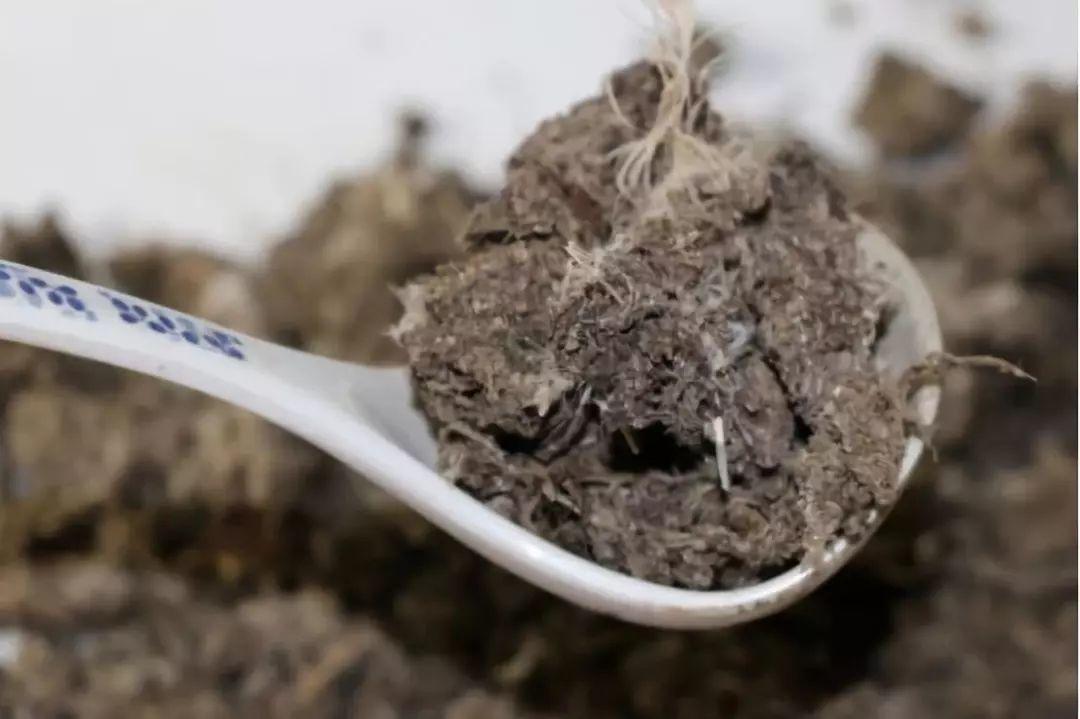 盆土硬邦邦, 撒点小料, 松软透气花呼呼长!